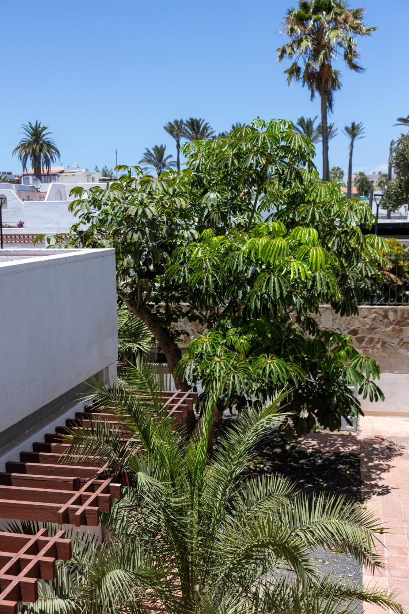كوراليهو Fuentepark Apartments المظهر الخارجي الصورة